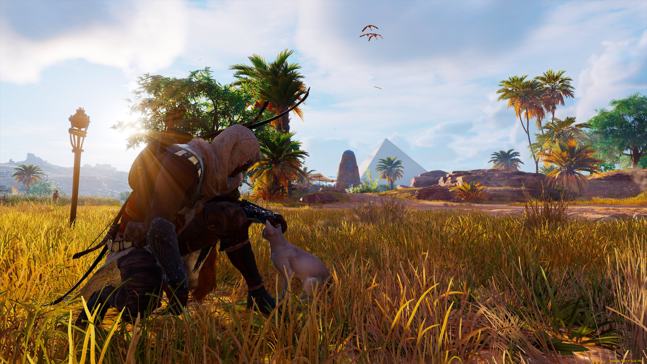  , assassin`s creed,  origins, assassin's, creed, origins